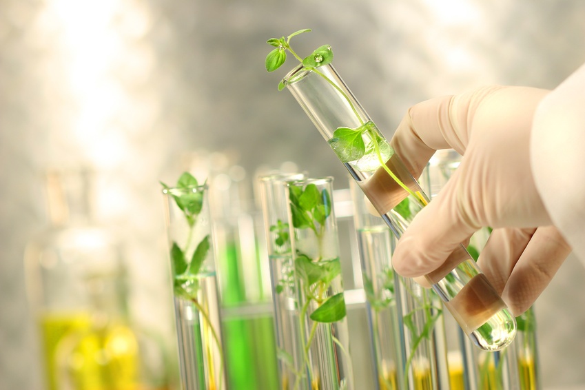 laboratorio_farmacia_neteris.jpg