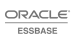 O ESSBASE logo gris