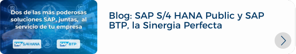 Recursos LP SAP S4 HANA (1)-1