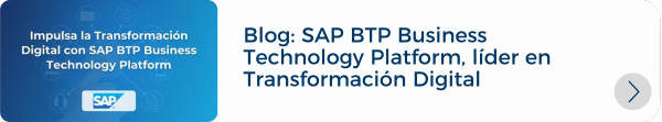 Recursos LP SAP S4 HANA (5)