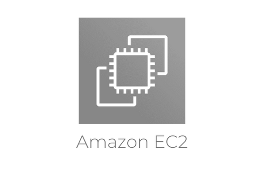 AWS EC2 logo gris