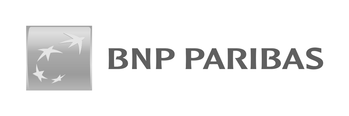 BNP Paribas Logos Gris