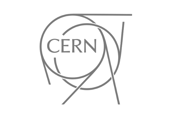 LOGO CERN GRIS