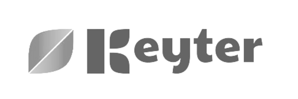 Logo gris keyter
