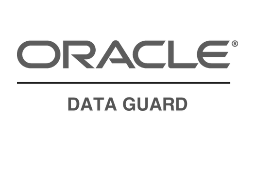 ORACLE DATA GUARD logo gris-1
