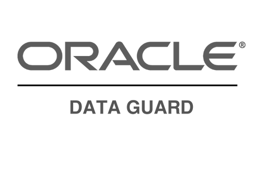 ORACLE DATA GUARD logo gris-1