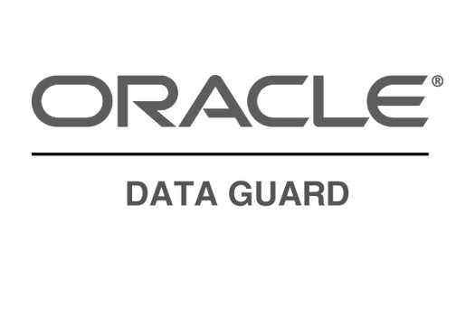 ORACLE DATA GUARD logo gris